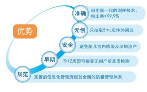 创和伪创哪个对SEO优化更有利？创