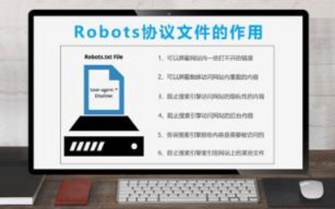 robot在SEO中的作用是什么？