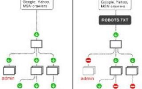 你了解robots的哪些有趣事实？