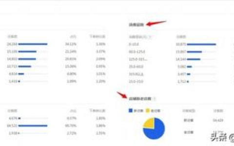如何通过用户需求分析确立排名决定性关键词？