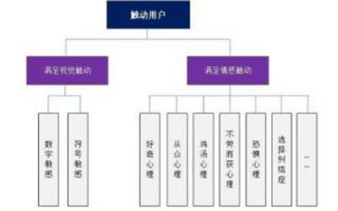 优化网站结构的实用技巧构建有序网站架构 优化网站结构的实用技巧构建有序网站架构