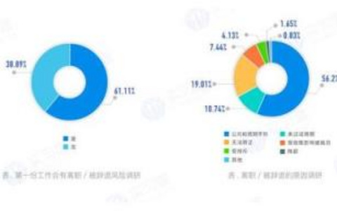 应届生学习SEO的就业前景如何？ 应届生学习SEO的就业前景