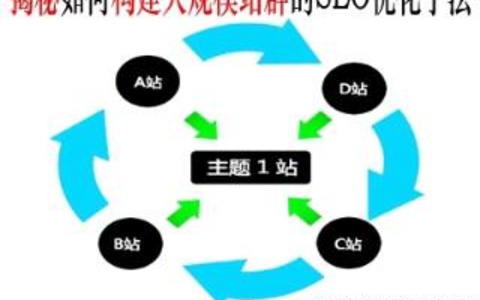 站群与单站SEO对比不同策略的优劣势分析！ 站群与单站SEO对比不同策略的优劣势分析