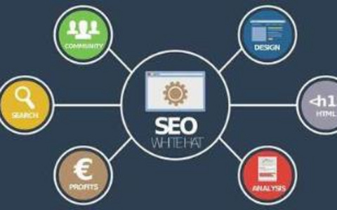 ALT标签的力量图片SEO的秘密武器？ ALT标签的力量：图片SEO的秘密武器？