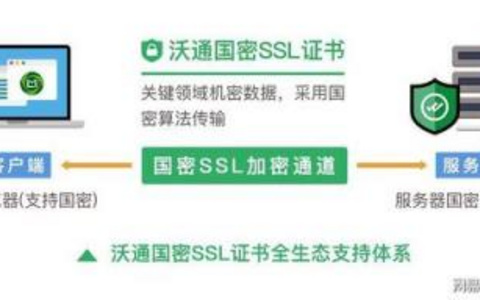 HTTPS加密之路申请证书的全程指南 HTTPS加密证书申请流程指南