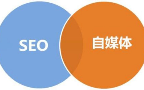 SEO优化速成网站提升指南