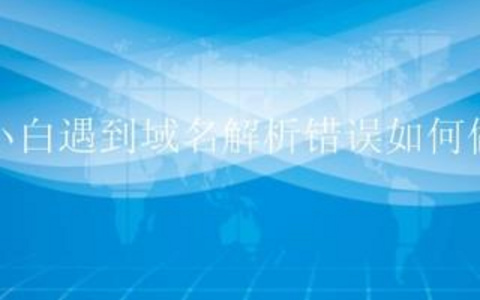 检测域名解析问题的快速定位技巧