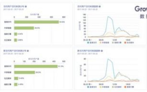 网站数据分析的高效策略解析