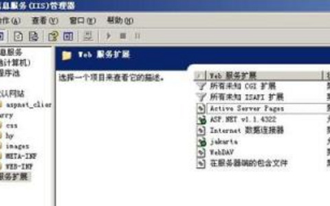 虚拟主机文件管理界面全解析