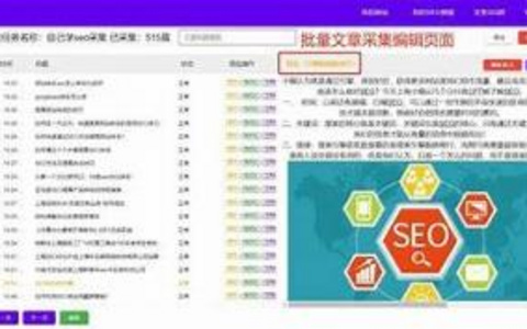 如何轻松检测网站标题的可读性？